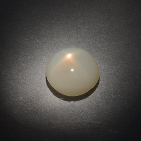 Pietra di luna stellata Color crema naturale da 9.61 ct, Taglio rotondo, Trasparente