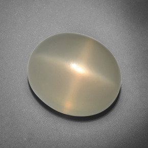 Pietra di luna stellata Color crema naturale da 15.43 ct, Taglio ovale, Traslucido