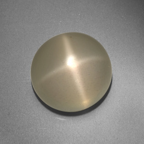 Pietra di luna stellata naturale crema da 13,66 ct, taglio rotondo, traslucido