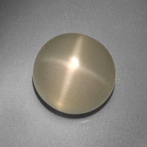 Pietra di luna stellata naturale crema da 13,66 ct, taglio rotondo, traslucido