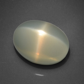 Pietra di luna stellata Color crema naturale da 17.37 ct, Taglio ovale, Traslucido
