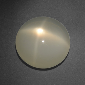 Pietra di luna stellata naturale crema da 16,68 ct, taglio rotondo, traslucido