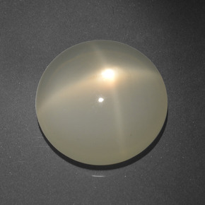 Pietra di luna stellata naturale crema da 16,68 ct, taglio rotondo, traslucido