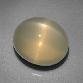Pietra di luna stellata naturale crema da 10,31 ct, taglio ovale, traslucido