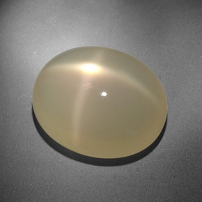 Pietra di luna stellata naturale crema da 20,88 ct, taglio ovale, traslucido