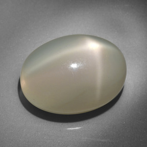 Pietra di luna stellata naturale crema da 23,34 ct, taglio ovale, traslucido