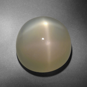 Pietra di luna stellata Color crema naturale da 24.71 ct, Taglio rotondo, Traslucido