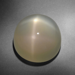Pietra di luna stellata Color crema naturale da 24.71 ct, Taglio rotondo, Traslucido