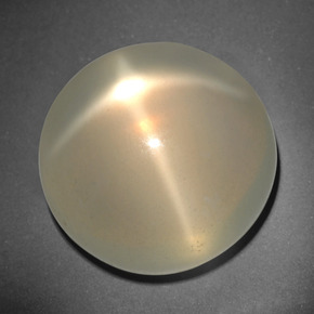 Pietra di luna stellata naturale crema da 26,12 ct, taglio rotondo, traslucido