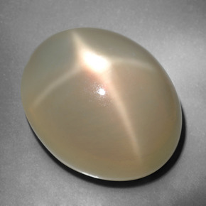 Pietra di luna stellata naturale crema da 34,76 ct, taglio ovale, traslucido