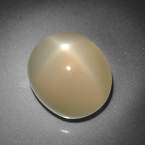 Pietra di luna stellata Color crema naturale da 7.27 ct, Taglio ovale, Traslucido