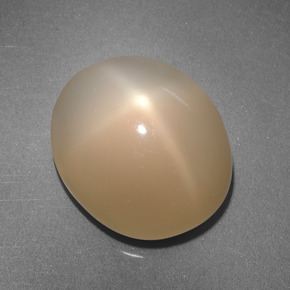 Pietra di luna stellata pesca crema naturale da 6.87 ct, Taglio ovale, Traslucido
