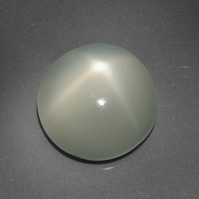 Pietra di luna stellata naturale crema da 6,95 ct, taglio rotondo, traslucido