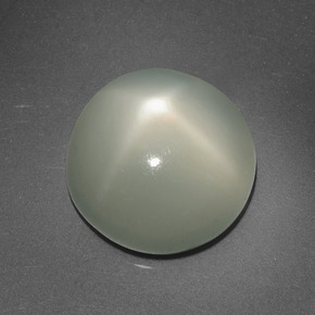 Pietra di luna stellata naturale crema da 6,95 ct, taglio rotondo, traslucido