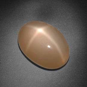 Pietra di luna stellata naturale arancione da 8,01 ct, taglio ovale, traslucido
