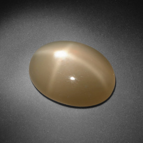 Pietra di luna stellata Color crema naturale da 8.09 ct, Taglio ovale, Traslucido
