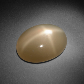 Pietra di luna stellata Color crema naturale da 8.09 ct, Taglio ovale, Traslucido