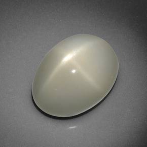 Pietra di luna stellata naturale crema da 10,16 ct, taglio ovale, traslucido