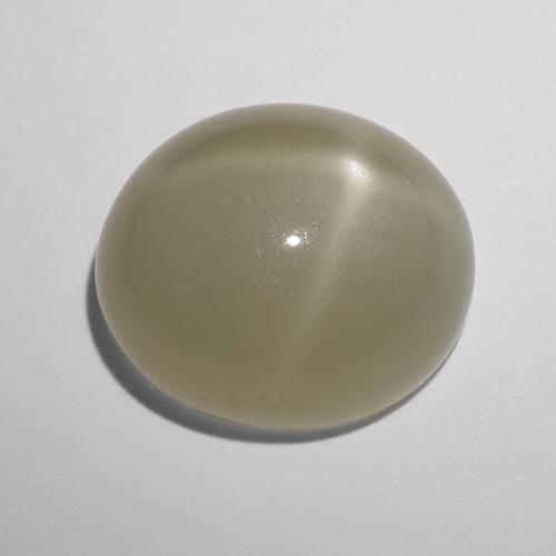 Pietra di luna stellata naturale giallo da 10,43 ct, taglio ovale, traslucido