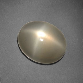 Pietra di luna stellata naturale crema da 6,62 ct, taglio ovale, traslucido