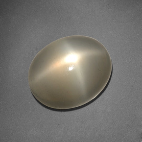 Pietra di luna stellata naturale crema da 6,62 ct, taglio ovale, traslucido