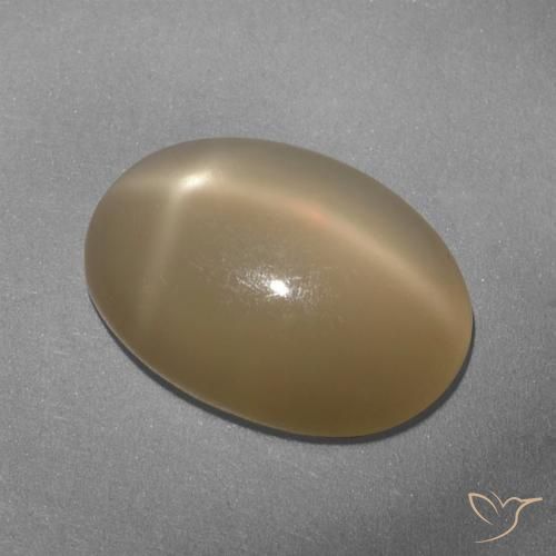5.33ct Naturale Arancio medio-scuro Pietra di luna stellata, Ovale, Traslucido