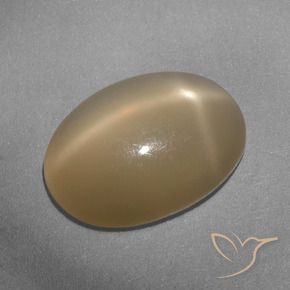 Pietra di luna stellata Arancio medio-scuro naturale da 5.33 ct, Ovale, Traslucido