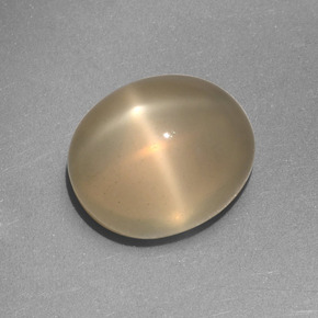 Pietra di luna stellata Color crema naturale da 5.25 ct, Taglio ovale, Traslucido