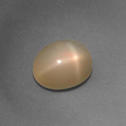 Pietra di luna stellata naturale arancione da 4,36 ct, taglio ovale, traslucido