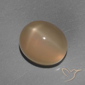 Pietra di luna stellata Arancio medio-scuro naturale da 5.84 ct, Ovale, Traslucido