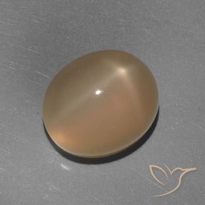 Pietra di luna stellata Arancio medio-scuro naturale da 5.84 ct, Ovale, Traslucido