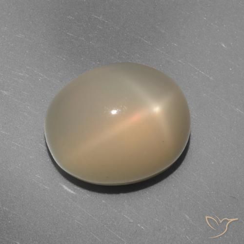 7.02ct Naturale Arancio medio-chiaro Pietra di luna stellata, Ovale, Traslucido