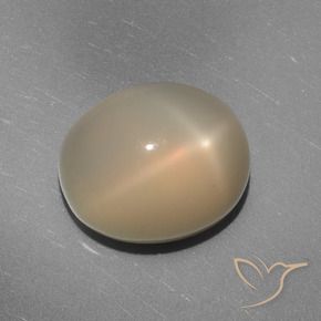 Pietra di luna stellata Arancio medio-chiaro naturale da 7.02 ct, Ovale, Traslucido