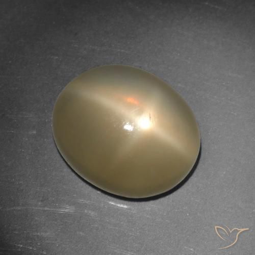 5.65ct Naturale Arancio medio-scuro Pietra di luna stellata, Ovale, Traslucido, Photo A