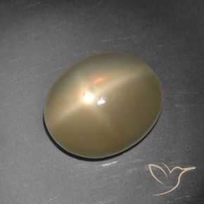 Pietra di luna stellata Arancio medio-scuro naturale da 5.65 ct, Ovale, Traslucido