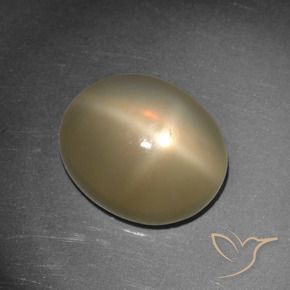 Pietra di luna stellata Arancio medio-scuro naturale da 5.65 ct, Ovale, Traslucido
