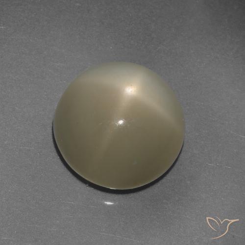 9.72ct Naturale Marrone Caffè Chiaro Pietra di luna stellata, Rotondo, Traslucido