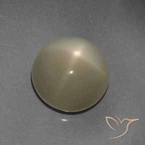 Pietra di luna stellata Marrone Caffè Chiaro naturale da 9.72 ct, Rotondo, Traslucido
