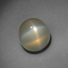 Pietra di luna stellata naturale crema da 4,15 ct, taglio rotondo, traslucido