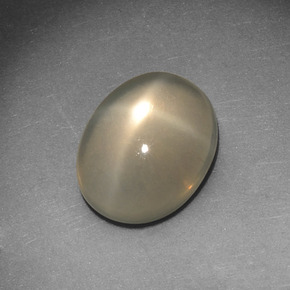 Pietra di luna stellata naturale crema da 2,72 ct, taglio ovale, traslucido
