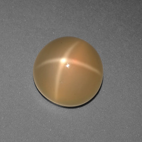 Pietra di luna stellata pesca crema naturale da 3.78 ct, Taglio rotondo, Traslucido