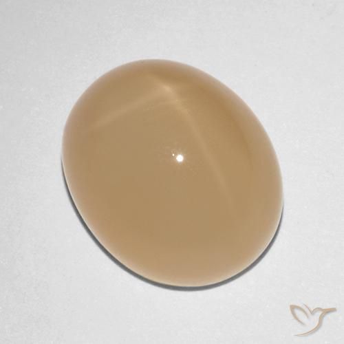 Pietra di luna stellata Cantalupo Arancia naturale da 7.88 ct, Ovale, Traslucido