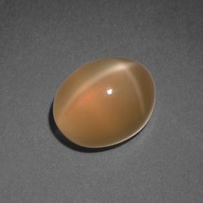 Pietra di luna stellata naturale arancione da 3,69 ct, taglio ovale, traslucido