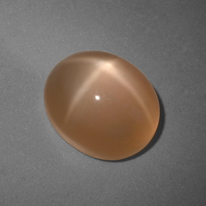 Pietra di luna stellata naturale arancione da 6,04 ct, taglio ovale, traslucido