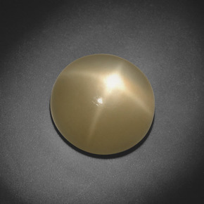 Pietra di luna stellata Color crema naturale da 5.20 ct, Taglio rotondo, Traslucido