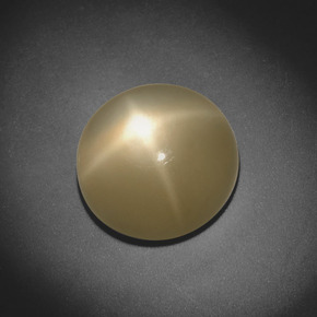 Pietra di luna stellata Color crema naturale da 5.20 ct, Taglio rotondo, Traslucido