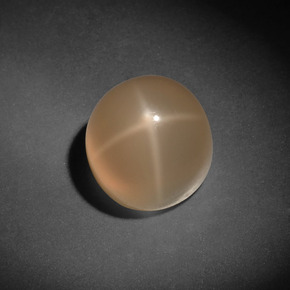 Pietra di luna stellata naturale crema da 7,13 ct, taglio rotondo, traslucido