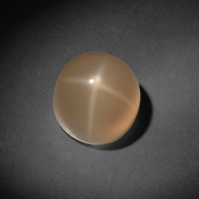 Pietra di luna stellata naturale crema da 7,13 ct, taglio rotondo, traslucido