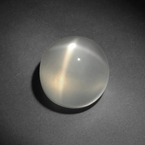 Pietra di luna stellata naturale bianco da 9,44 ct, taglio rotondo, traslucido
