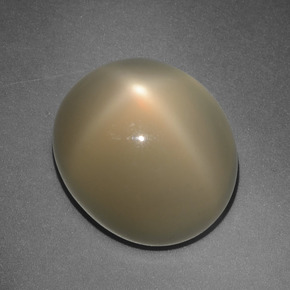 Pietra di luna stellata Arancione marroncino naturale da 10.88 ct, Taglio ovale, Traslucido